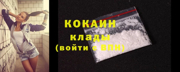 гидра Дмитриев